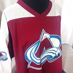 NHL hall of fame selanne jersey